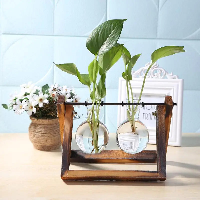 Desktop Planter