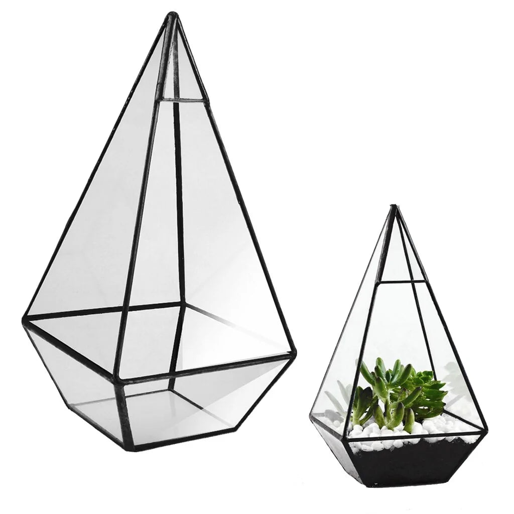 Photo of Glass Terrarium with an example of a plant in the Glass terrarium