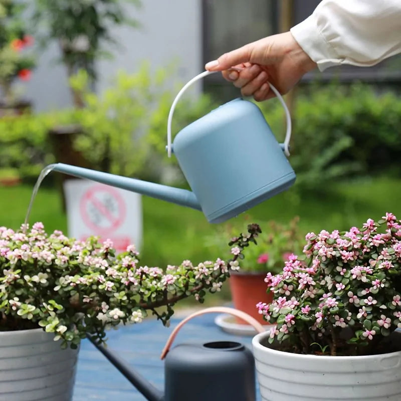 Long Mouth Watering Can