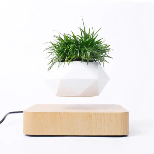 Floating Magnetic Levitating Pot Planter