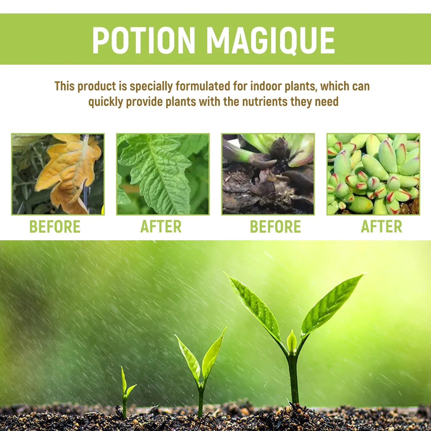 Potion Magique - Liquid Plant Nutrition