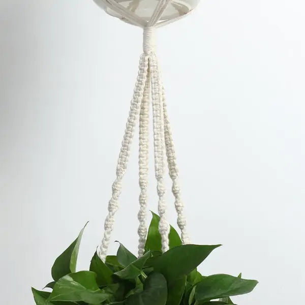 4x Macrame Plant Hangers