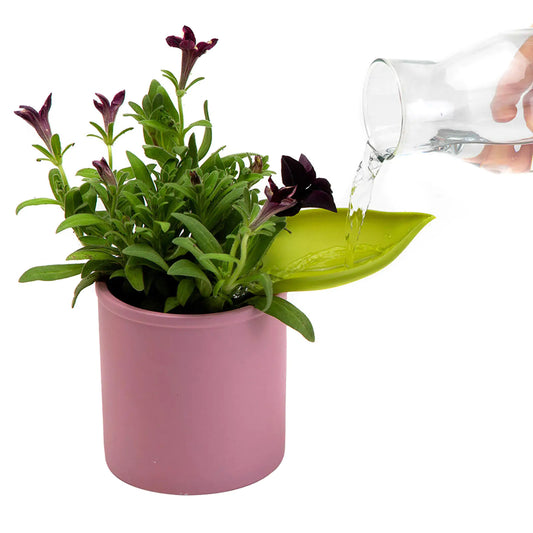 Plant Watering Funnel x3