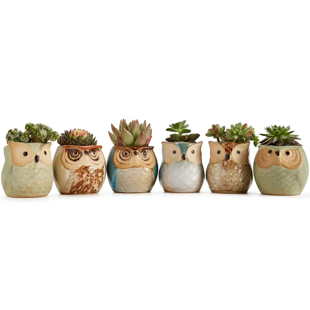 Owl Pot Ceramic Base Set 6x