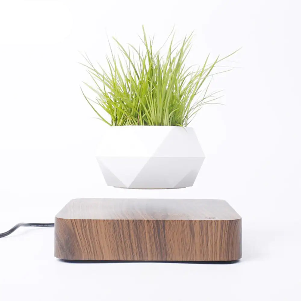 Floating Magnetic Levitating Pot Planter