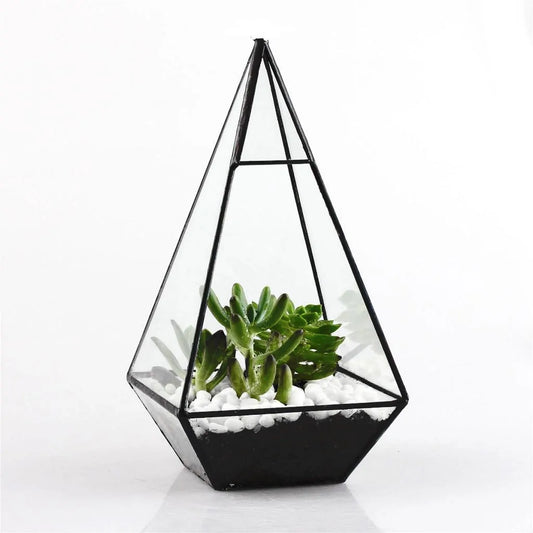 Photo of Glass Terrarium with plant