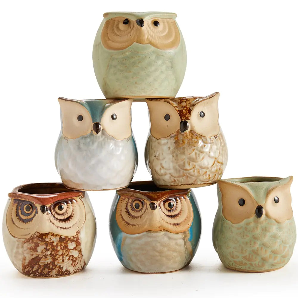 Owl Pot Ceramic Base Set 6x