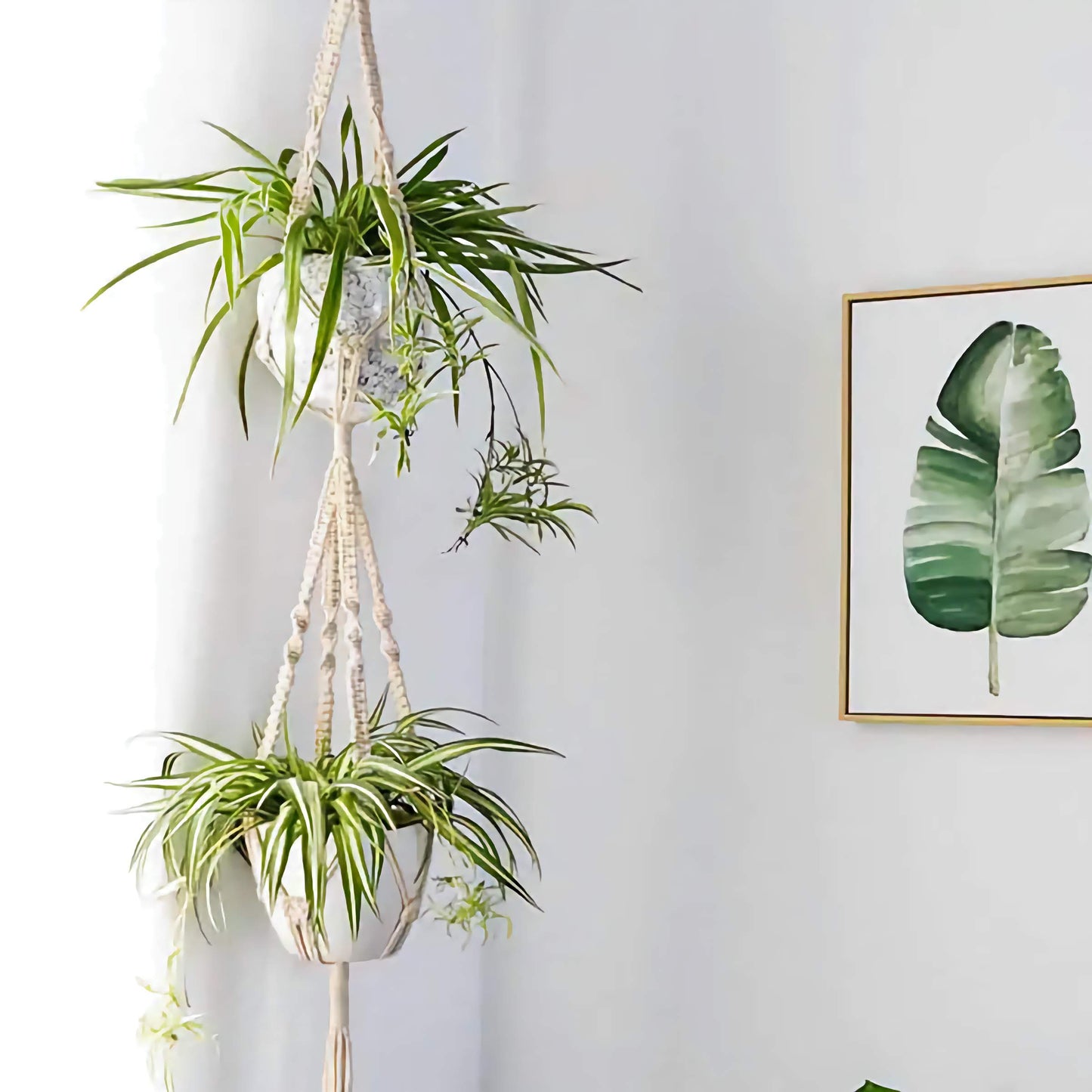 4x Macrame Plant Hangers