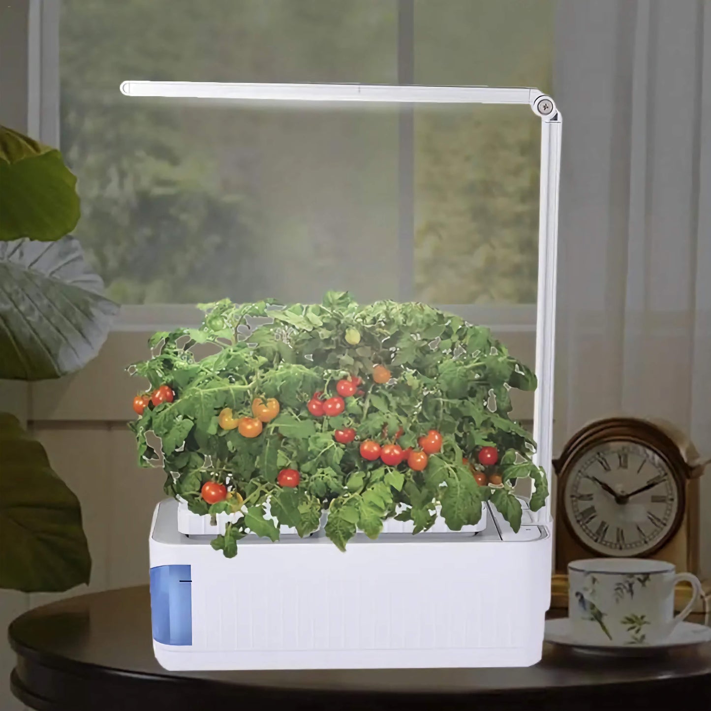 Smart Hydroponic Indoor Herb Garden Kit