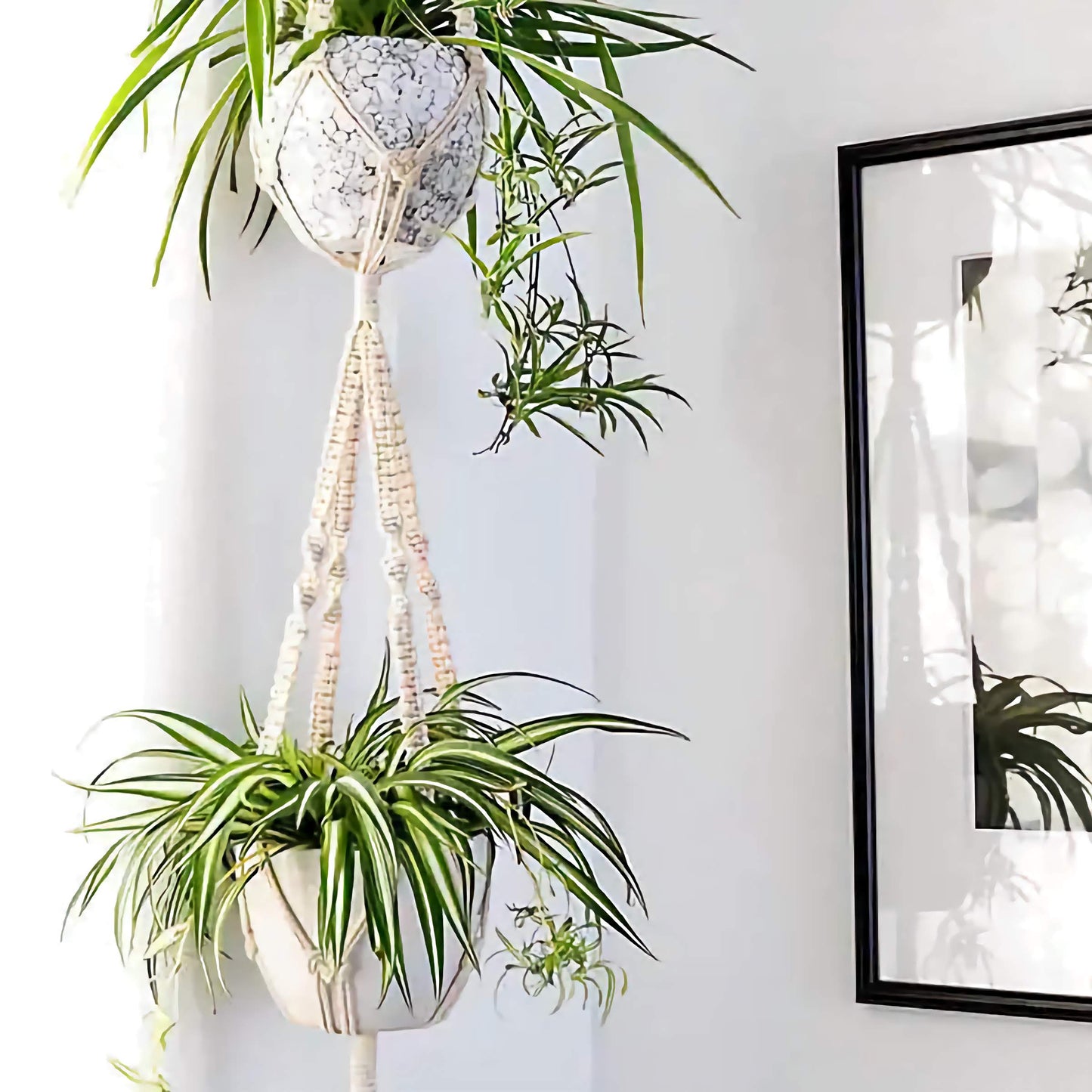 4x Macrame Plant Hangers