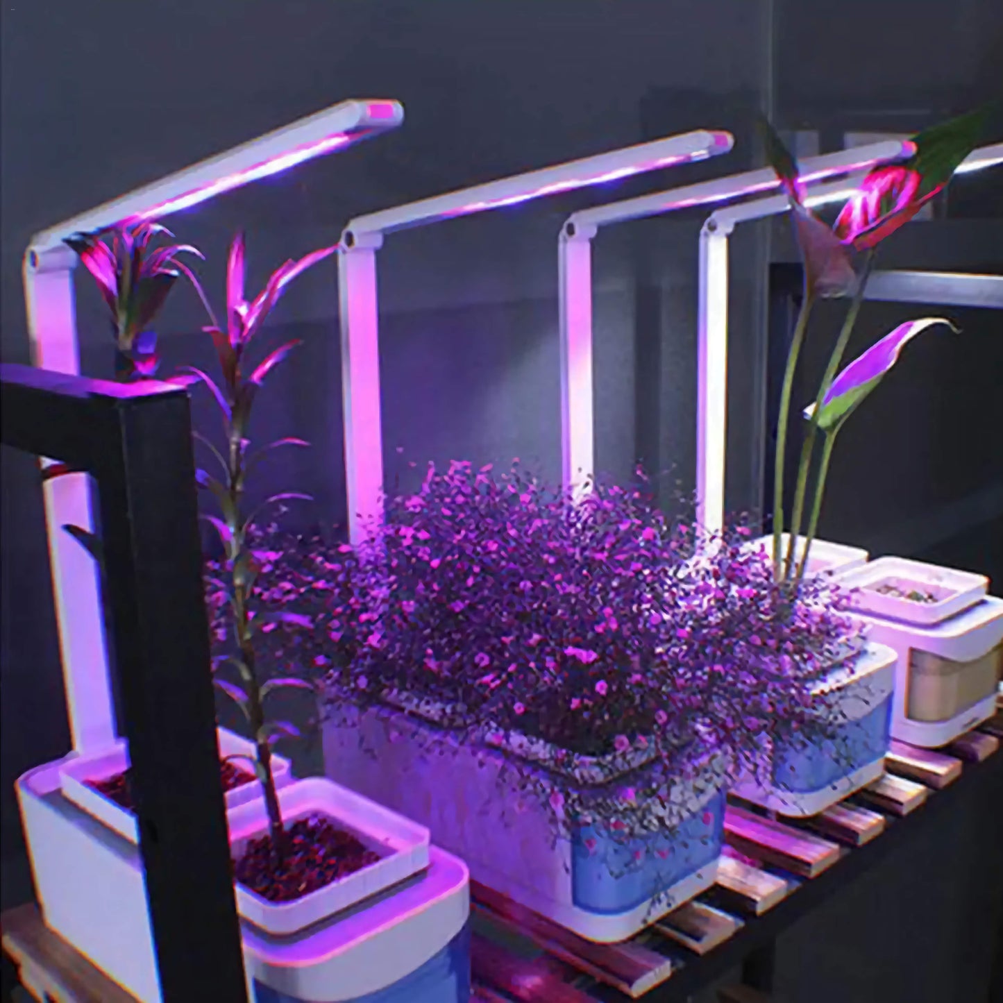 Smart Hydroponic Indoor Herb Garden Kit