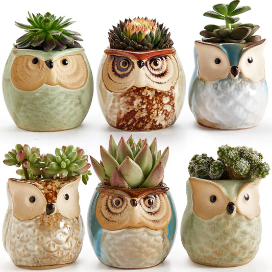 Owl Pot Ceramic Base Set 6x