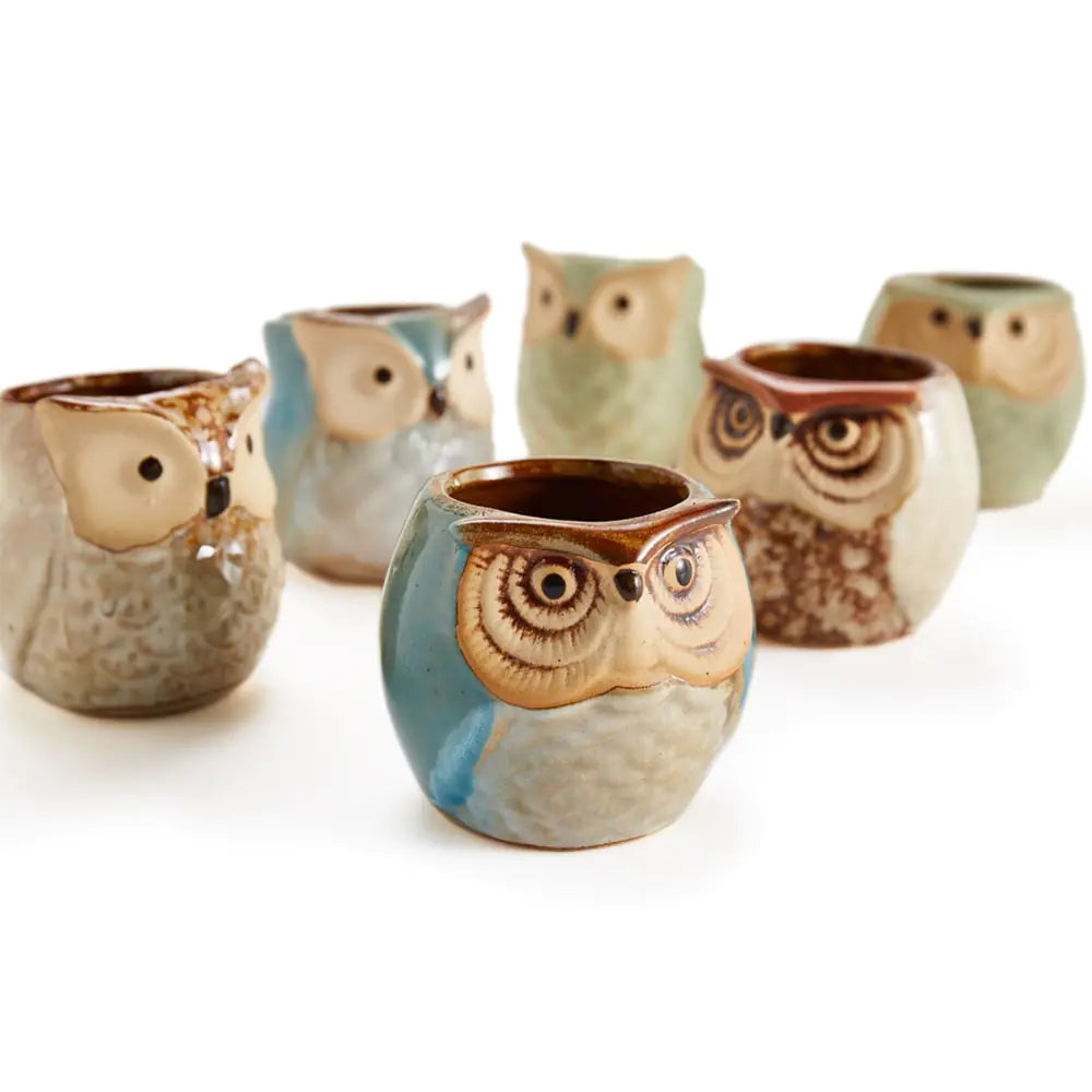 Owl Pot Ceramic Base Set 6x