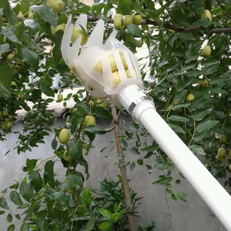 Multi-Color Garden Fruit Picker Head: Plastic Picking Tool