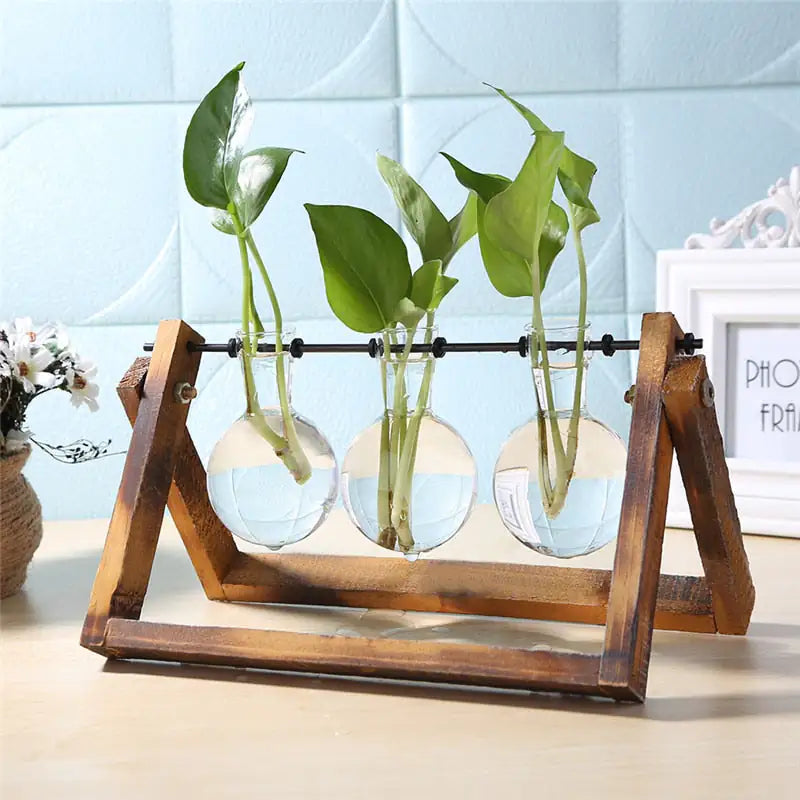 Desktop Planter