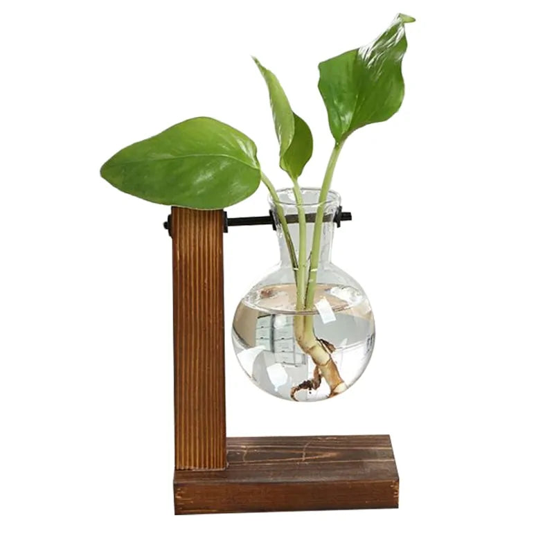 Glass Plant Vase